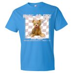 Softstyle® Lightweight T-Shirt Thumbnail
