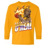 Heavy Cotton™ Youth Long Sleeve T-Shirt Thumbnail