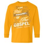 Heavy Cotton™ Youth Long Sleeve T-Shirt Thumbnail