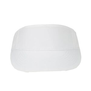 Tall Panel Visor Thumbnail