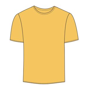 Softstyle® Youth Midweight T-Shirt Thumbnail