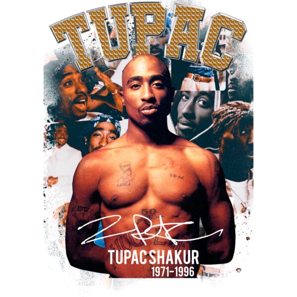 Hip Hop Rapper 48 Thumbnail