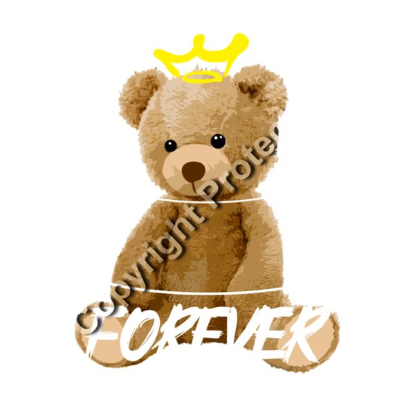 Streetwear Bear 27 Thumbnail