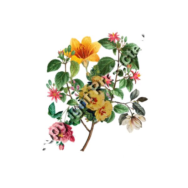 Streetwear Flowers 12 Thumbnail